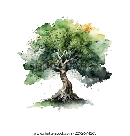 Bodhi Sacred Fig tree Watercolor Vector Illustration.