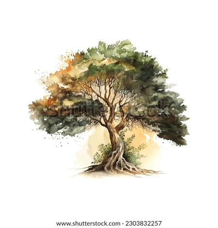 Bodhi Sacred Fig tree Watercolor Vector Illustration.