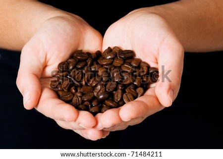 coffee beans in the palms