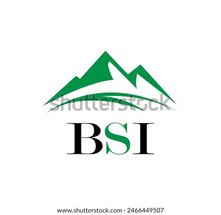 BSI letter logo design on white background. Creative  modern BSI letter logo design. Vector design.
Letters BSI, BSI logo  vector template.