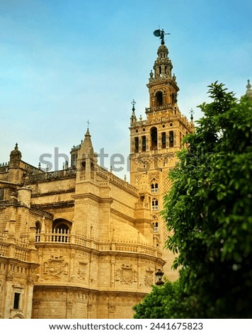 Similar – Foto Bild Catedral de Sevilla