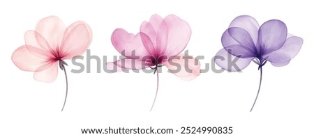 Image, Stock Photo purple flowers in brown