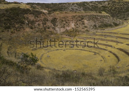 Ancient Inca terraces and circles used as agriculture laboratory at Moray, Peru.