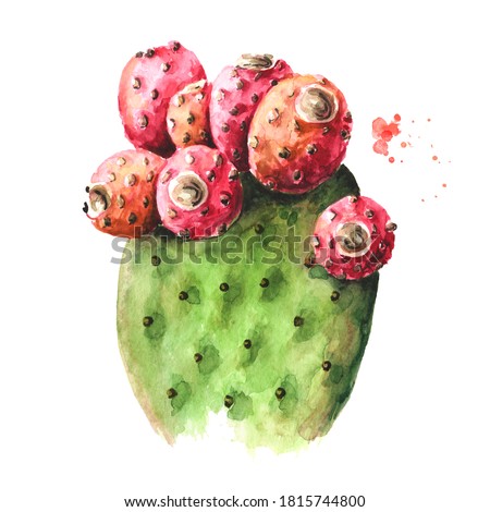 Wooden Basket with Prickly Pear Cactus hand painted