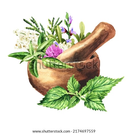 Medicinal plants in mortar. Alternative medicine, herbal collection. Hand drawn watercolor illustration isolated on white background Photo stock © 