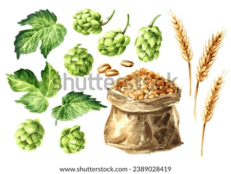 Image, Stock Photo fresh bio hop Bio Field
