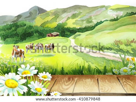 Cows in a meadow and a board