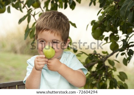 little boy proud of himself for picking pear from tree and showing it off