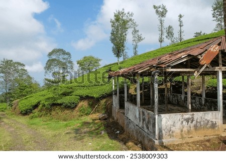 Similar – Image, Stock Photo Wood before the hut!!! Saw