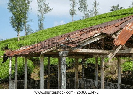 Similar – Image, Stock Photo Wood before the hut!!! Saw