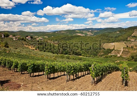 Vineyards and olive trees plantations over hills at Chianti, Italy.
