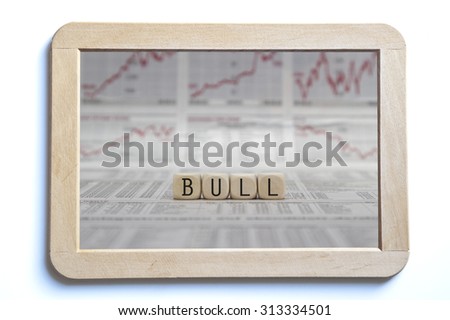 bull market word on a isolated board