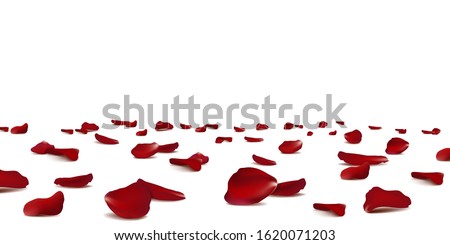 Falling red rose petals seasonal confetti, blossom elements flying isolated. Abstract floral background with beauty roses petal. design for greeting cards. Rose petals fall to the floor.  