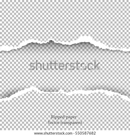 Realistic vector torn paper with ripped edges with space for text.  Template design for banner for web and print,  sale promo, advertising, presentation. vector illustration




