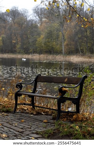 Similar – Image, Stock Photo The autumnal lily stone in the Elbe Sandstone Mountains