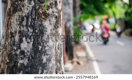 Similar – Image, Stock Photo street Tree trunk Winter