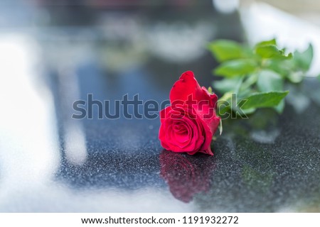 Gravestone with withered rose. Red rose was left on gravestone in the graveyard for someone who passed away. Flower on memorial stone close up. Red carnation on gravestone Foto stock © 