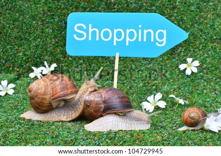 Three snails rushing to the shopping