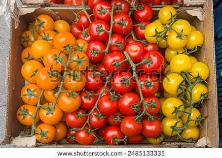 Similar – Image, Stock Photo orange and red cherries with berries