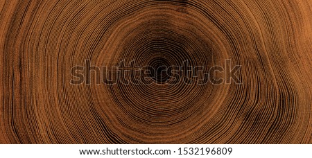 Old wooden oak tree cut surface. Detailed warm dark brown and orange tones of a felled tree trunk or stump. Rough organic texture of tree rings with close up of end grain. ストックフォト © 
