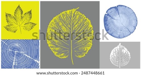 Decorative leaf sketch and wood block prints. Monotone yellow blue and gray botanical tree rings and leaves impression print.