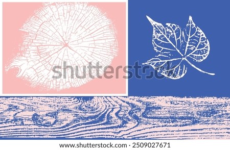 Decorative leaf prints and wood block prints. Monotone pink and blue botanical tree rings impression print.