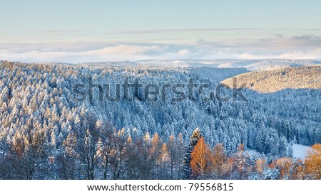 Magical Winter Landscape in the Black Forest, Germany