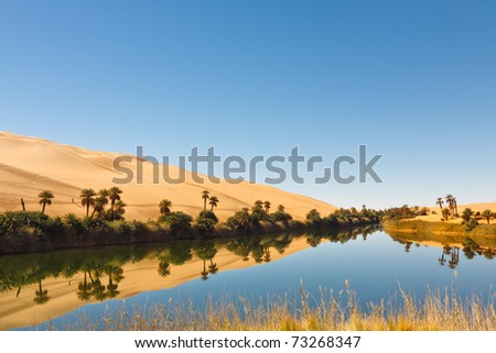 Umm al-Ma Lake - Idyllic oasis in the Awbari Sand Sea, Sahara Desert, Libya Stok fotoğraf © 