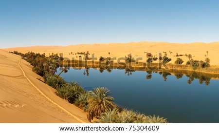 Umm al-Ma Lake - Idyllic oasis in the Awbari Sand Sea, Sahara Desert, Libya Stok fotoğraf © 
