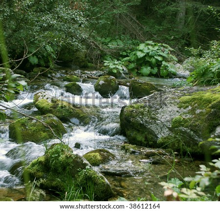 genuine mountain river tiny waterfall green savage movement smooth moss