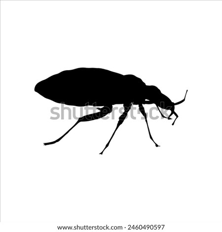 Bed bug silhouette isolated on white background. Bug icon vector illustration design.