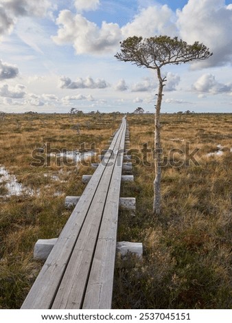 Similar – Wooden planked footway in calm evening lake