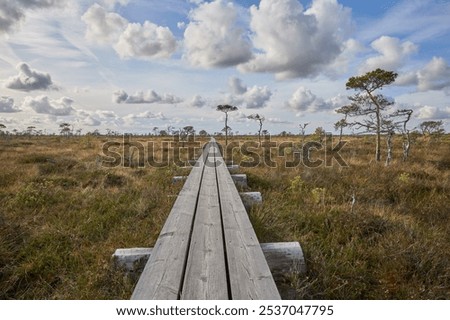 Similar – Image, Stock Photo small path that goes into the forest of tarragona