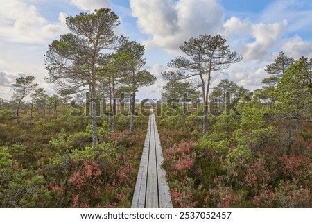 Similar – Wooden planked footway in calm evening lake