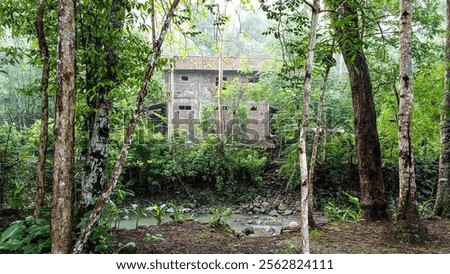 Similar – Image, Stock Photo Unknown house with empty flower boxes