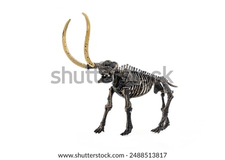 Similar – Image, Stock Photo Ice Age | at the fence