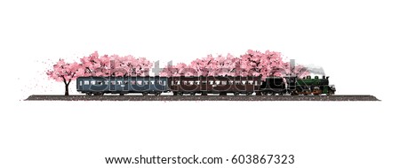 isolated on white background Cherry tree garden filled with flowers sakura breeze blow 
fall and ancient train travel led by old steam locomotive running through unseen 
in the spring of Japan.