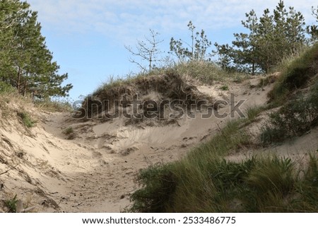 Similar – Image, Stock Photo Dune against blue sky Sand