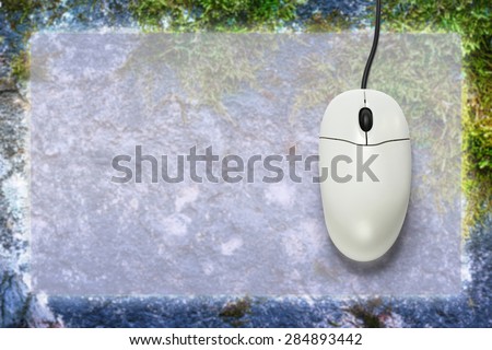 Computer mouse on blank background  in closeup