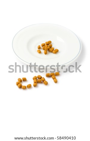 Pet food isolated on white