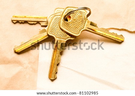 Bunch of keys on the paper background