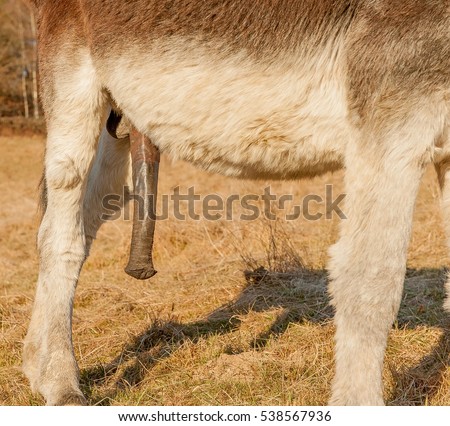 Fuck hole shit Southern hillbilly male erotica
