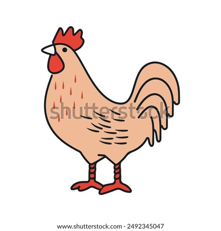 Hand drawn chicken rooster. Doodle sketch style. Drawing line simple rooster icon. Isolated vector illustration.