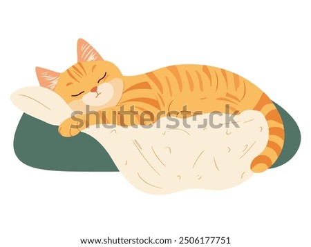 Cute cat sleeping on blanket and pillows. Cute cat lying on soft cozy pillow. Comfortable home animal furniture for felines. 