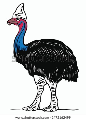 A black and white drawing of a cassowary in profile with a bumpy casque on its head and feathers dangling from its throat.