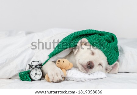 Similar – Image, Stock Photo winter sleep cap Animal