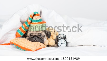 Image, Stock Photo winter sleep cap Animal