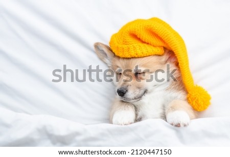 Similar – Image, Stock Photo winter sleep cap Animal