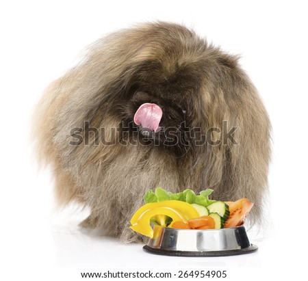 Furry dog sitting with a bowl of vegetables. isolated on white background