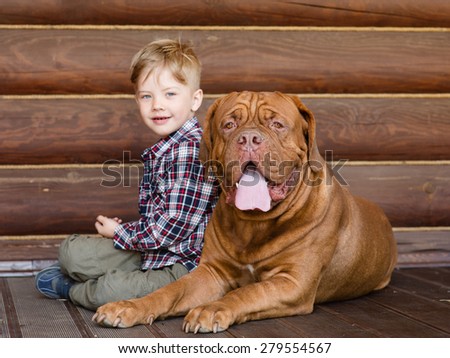 Little boy with big Bordeaux dog